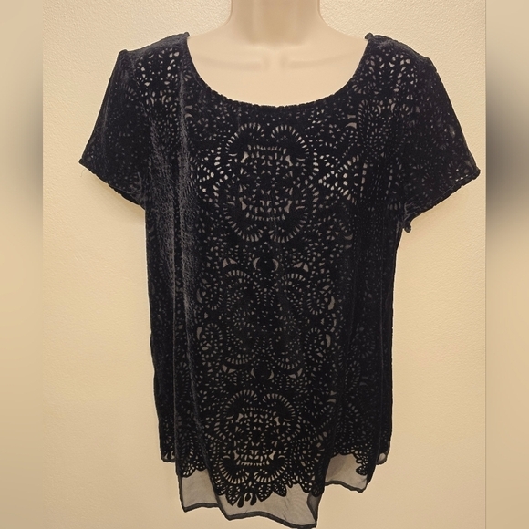 LOFT Tops - EUC Loft black Velvet Burnout Lace Short Sleeve Blouse